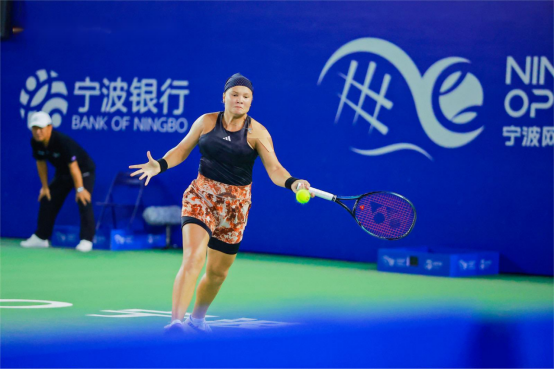 停中投改变