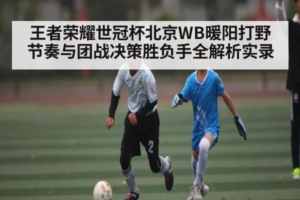 王者荣耀世冠杯北京WB暖阳打野节奏与团战决策胜负手全解析实录